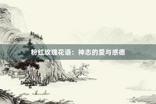 粉红玫瑰花语：神志的爱与感德
