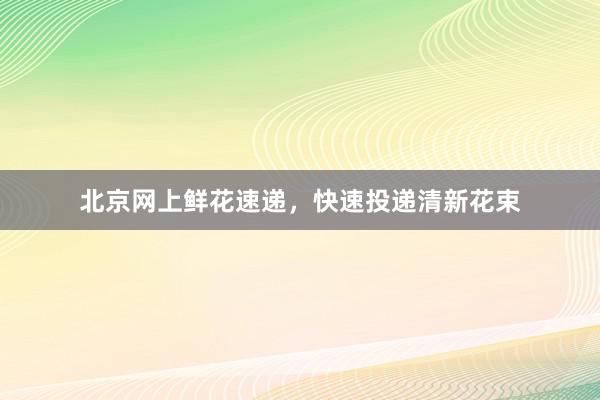 北京网上鲜花速递，快速投递清新花束