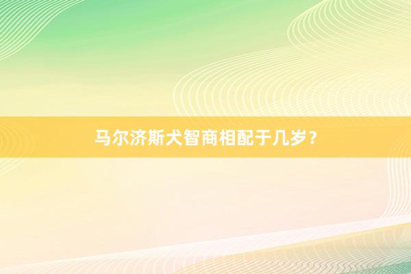 马尔济斯犬智商相配于几岁？