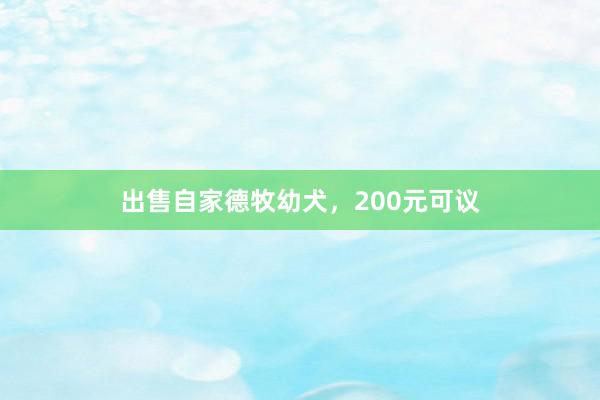 出售自家德牧幼犬，200元可议